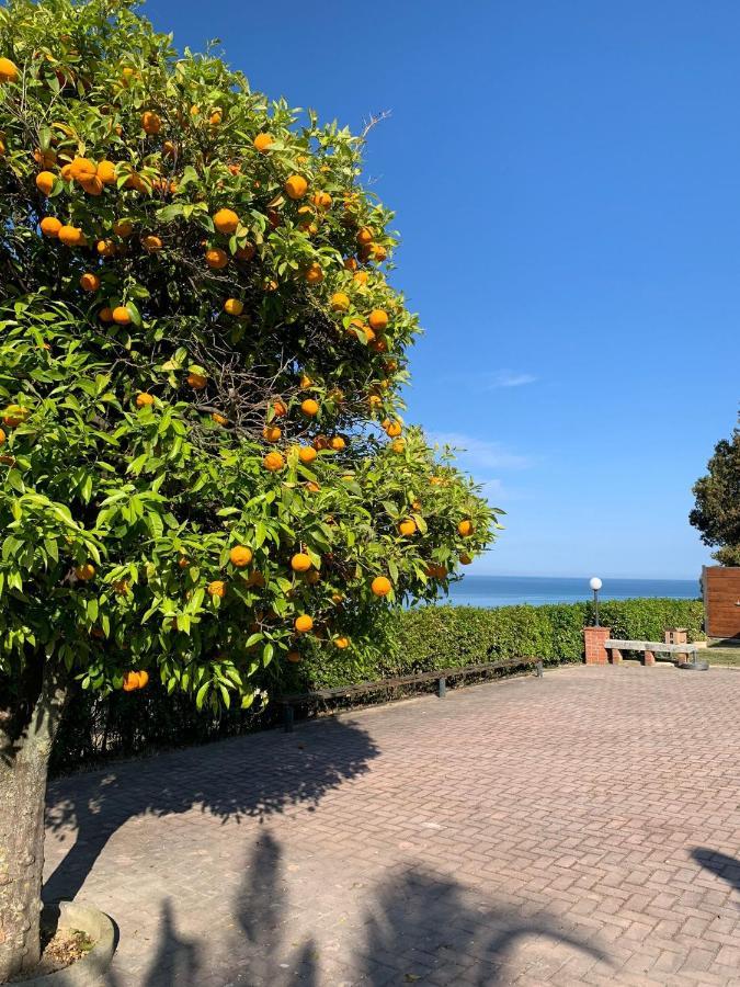 Vigna Sul Mare Lägenhet Marina Palmense Exteriör bild